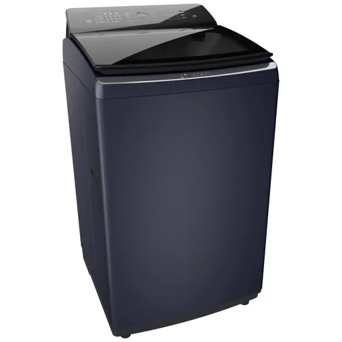 BOSCH 8 KG Fully Automatic Top Load Washing Machine (WOE802B7IN)